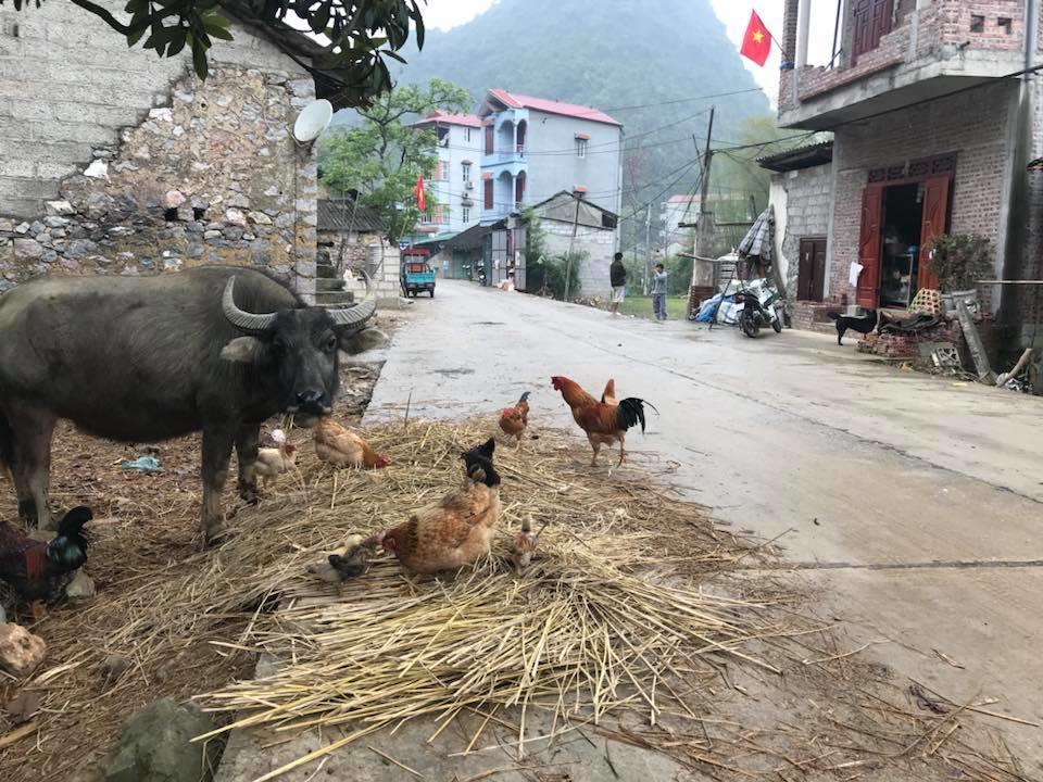A Sy Ban Gioc Homestay - Lang Da Khuoi Ky Cao Bang Zewnętrze zdjęcie
